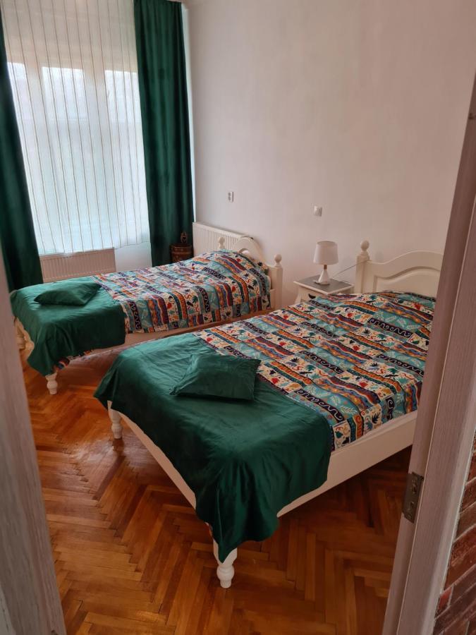 Stradela Cetatii Apartment سيفِسوارا المظهر الخارجي الصورة