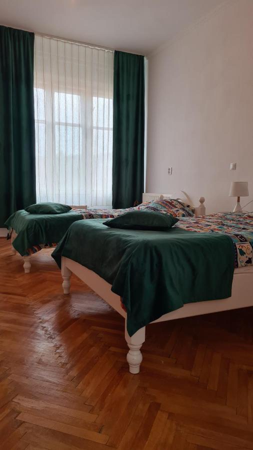 Stradela Cetatii Apartment سيفِسوارا المظهر الخارجي الصورة